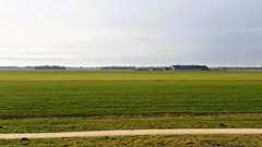 Westergrift 69, 7942 MA Meppel - uitz 6.jpeg